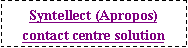 Text Box: Syntellect (Apropos)contact centre solution