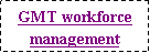 Text Box: GMT workforce management 